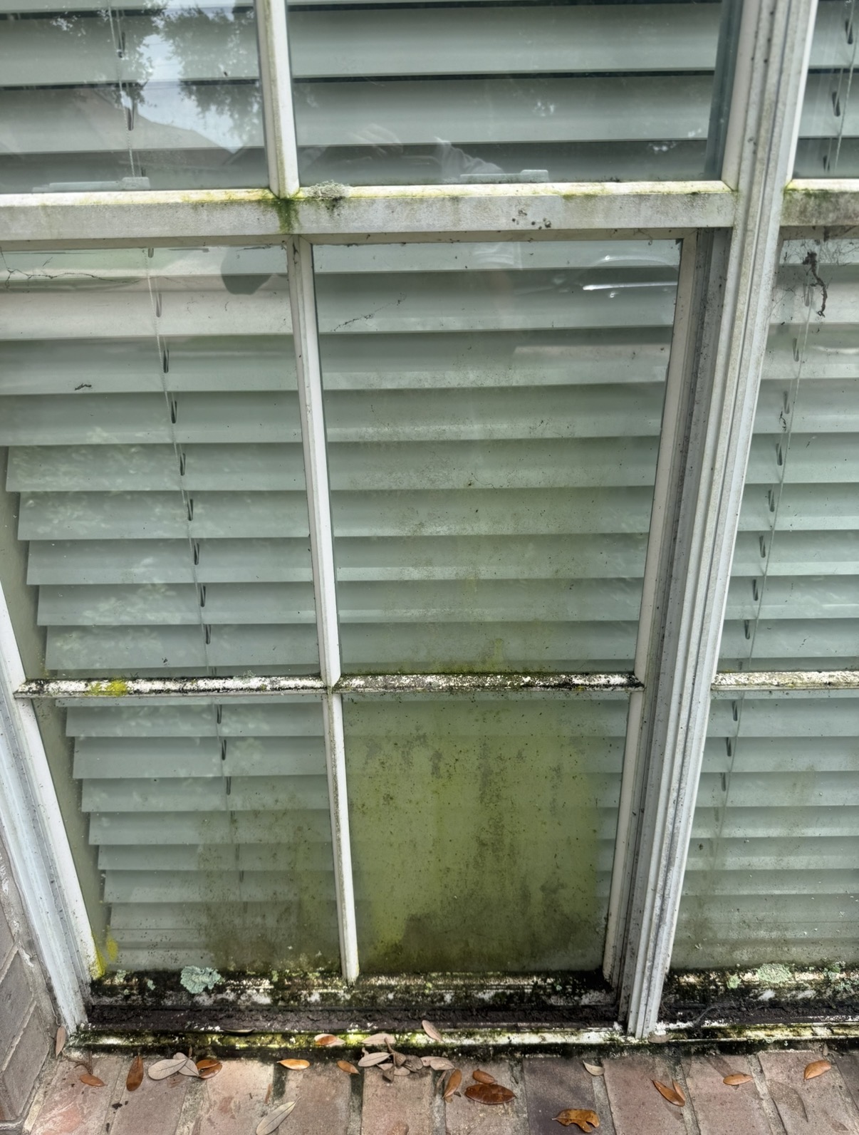 Dirty residential window with mold on frames and tracks before cleaning